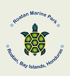 roatan marine park